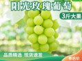 【绿色食品】阳光玫瑰葡萄 (1)